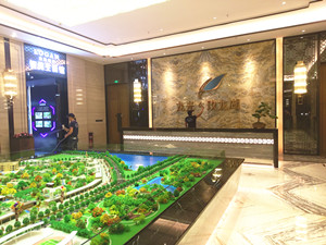 龙光地产玖龙湖营销中心大型甲醛治理.菌霉防控项目