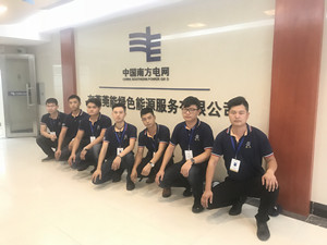 中国南方电网绿色能源公司大型甲醛治理.菌霉防控项目