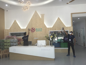 棒吉拉国际早教大型甲醛治理.菌霉防控项目