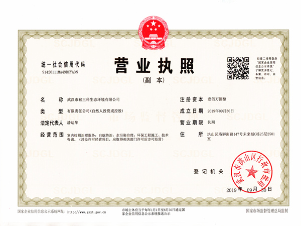 猴王武汉公司执照